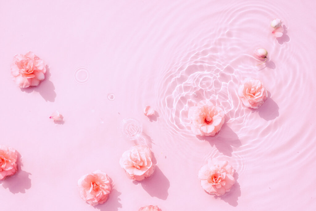 Rosenblüten schwimmen auf dem Wasser auf einem rosafarbigen Hintergrund als Sinnbild für das Rosenhydrolat oder Rosenwasser.