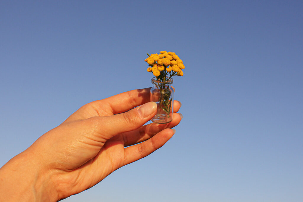 Eine Frau hält in ihrer Hand ein kleines Glas, worin sich die Blüten einer Immortelle befinden. Im Hintergrund ist der Himmel zu sehen. Ein Symbolbild für die Wirkung von Immortelle.