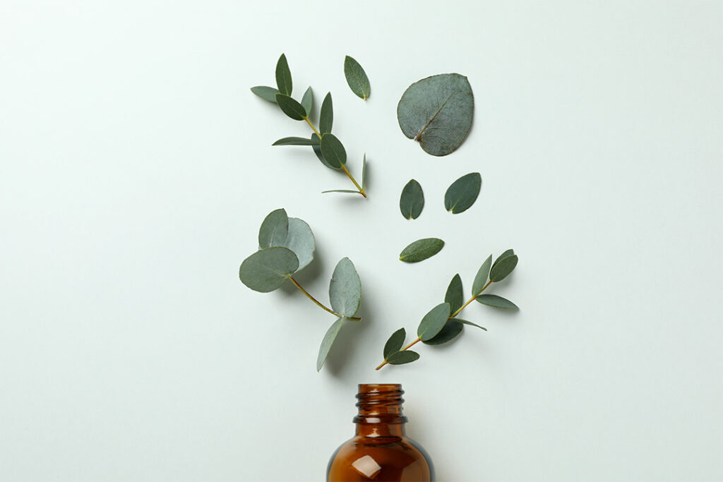 Eine braune Glasflasche mit dem ätherischen Eukalyptusöl 85% und verstreuten Eukalpytusblättern.