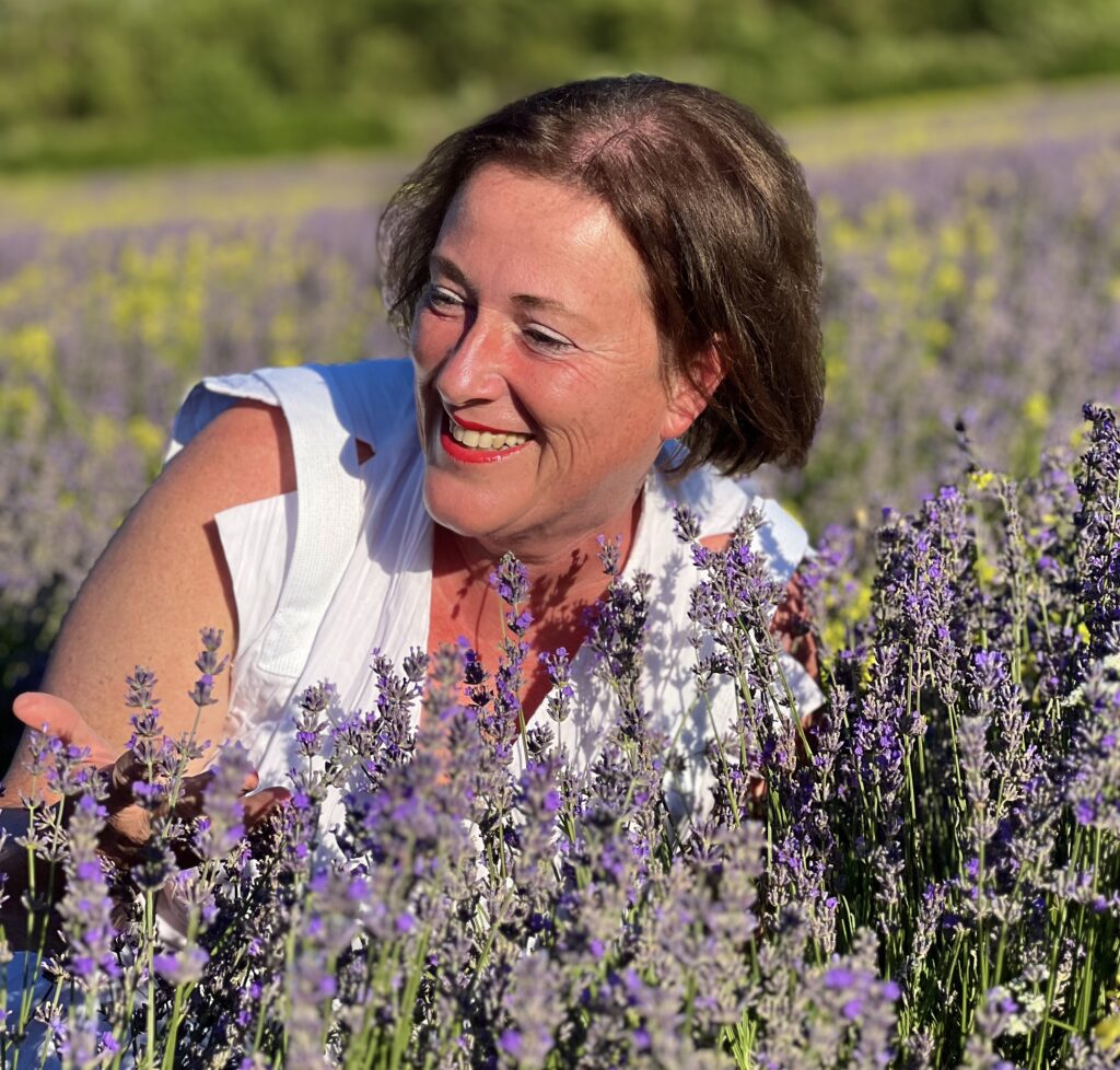 Lavendelernte in Grasse, Frankreich - Duftgenuss - Aromapflege mit Barbara Tausch