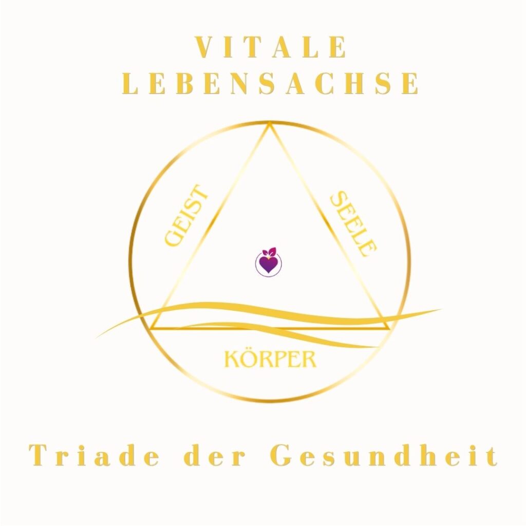 Grafik der Triade der Gesundheit von DUFTGENUSS Barbara Tausch zur ganzheitlichen Praevention und Neuausrichtung der vitalen Lebensachse fuer Koerper Geist und Seele.