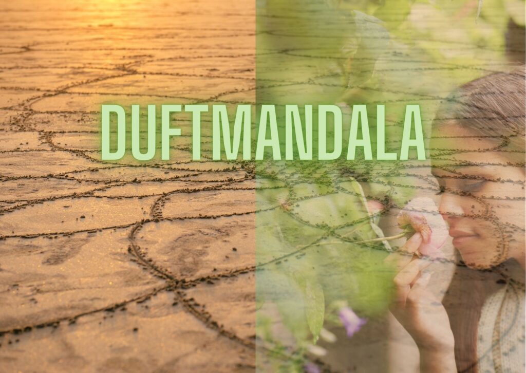 Eine Hand zeichnet ein kreatives Duftmandala™ auf Papier inmitten von Blumen – Symbol für Stressabbau und das Wandeln von Verhaltensmustern durch Aromapflege von DUFTGENUSS.