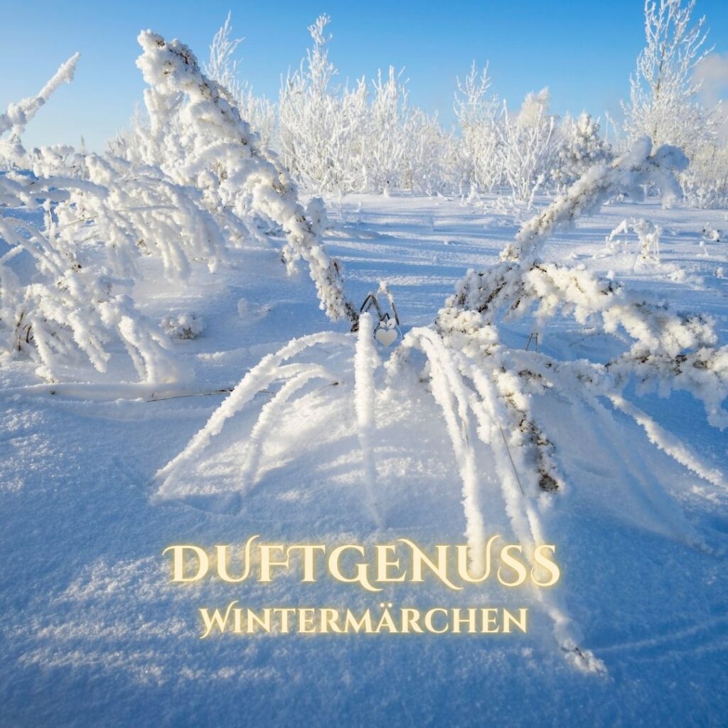 Verschneite Äste im blauen Winterhimmel mit goldener Schrift DUFTGENUSS WINTERMÄRCHEN für ganzheitliche Aromatherapie